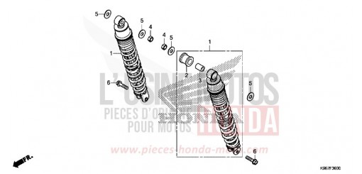 REAR CUSHION WW125AK de 2019